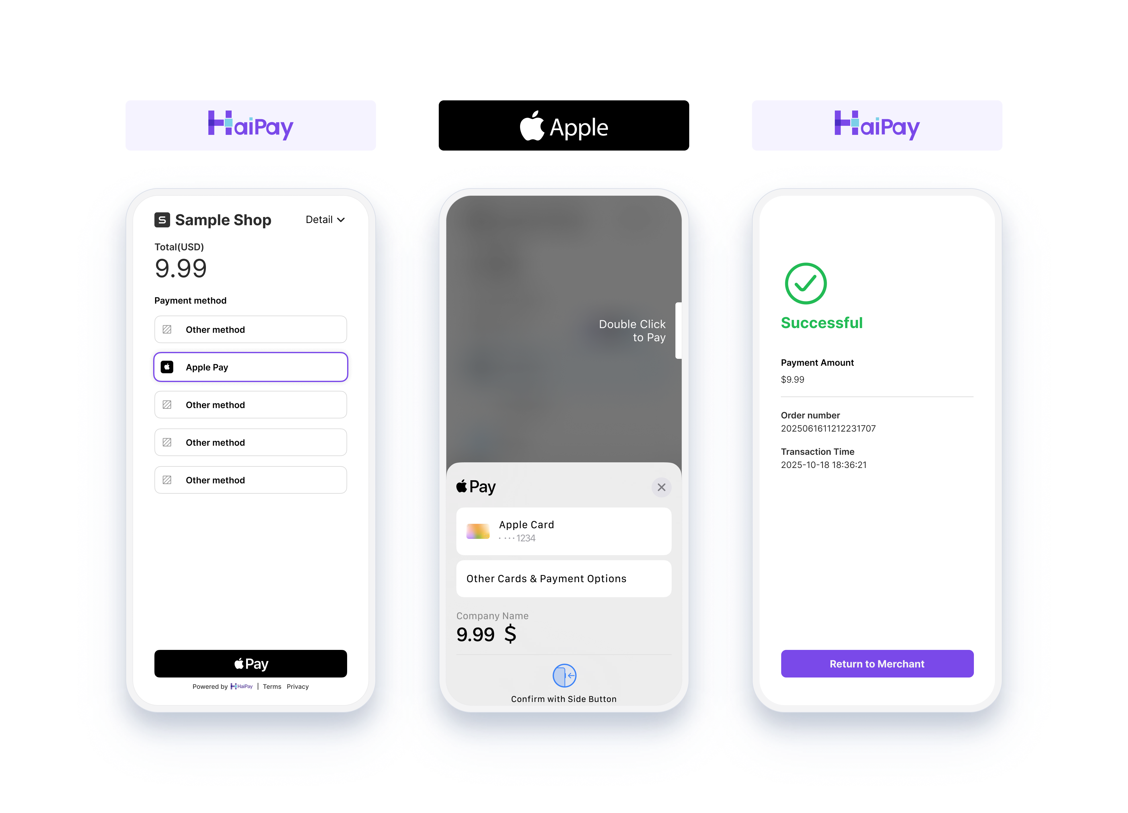 Apple Pay payment process on Apple Devices